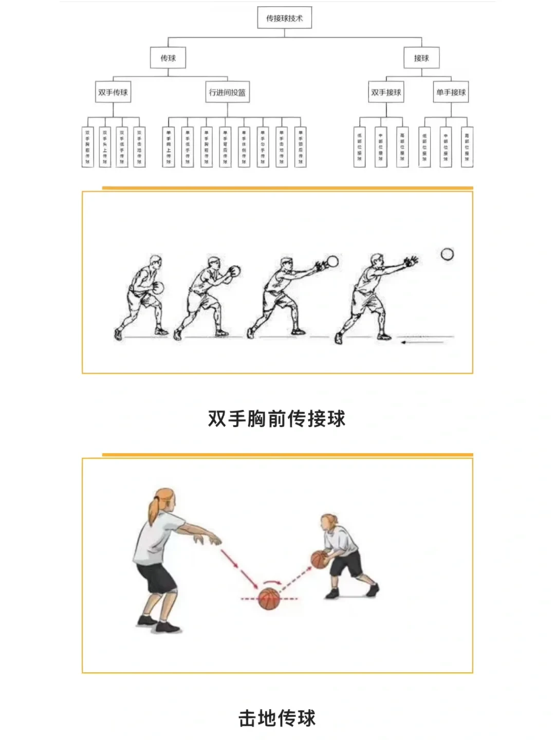 如何借助篮球榜样的力量提升团队协作能力_1
