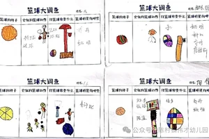 如何借助篮球文化优化团队训练模式:提升效率与凝聚力的秘诀